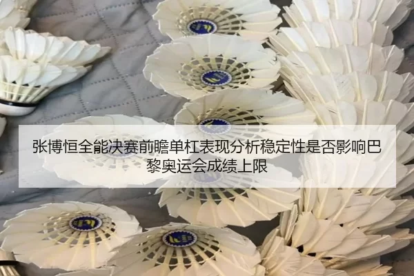 张博恒全能决赛前瞻单杠表现分析稳定性是否影响巴黎奥运会成绩上限
