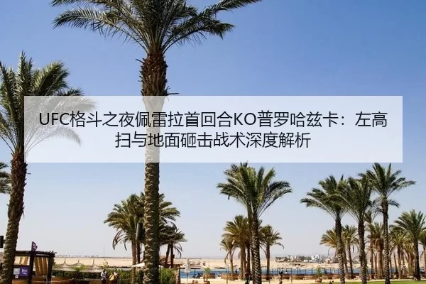ge-dou-zhi-ye-pei-lei-la-shou-hui-he-pu-luo-ha-zi-ka-zuo-gao-sao-yu-di-mian-za-ji-zhan-shu-shen-du-jie-xi-2-733.jpg